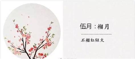 農曆六月是什麼月|中國農曆月份名稱表 (十二月令名稱表)